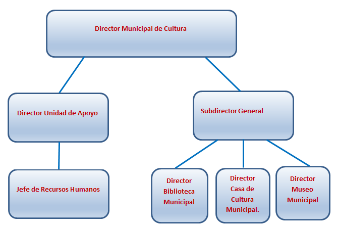 Estructura organizacional