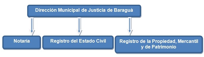 Estructura organizacional Baraguá